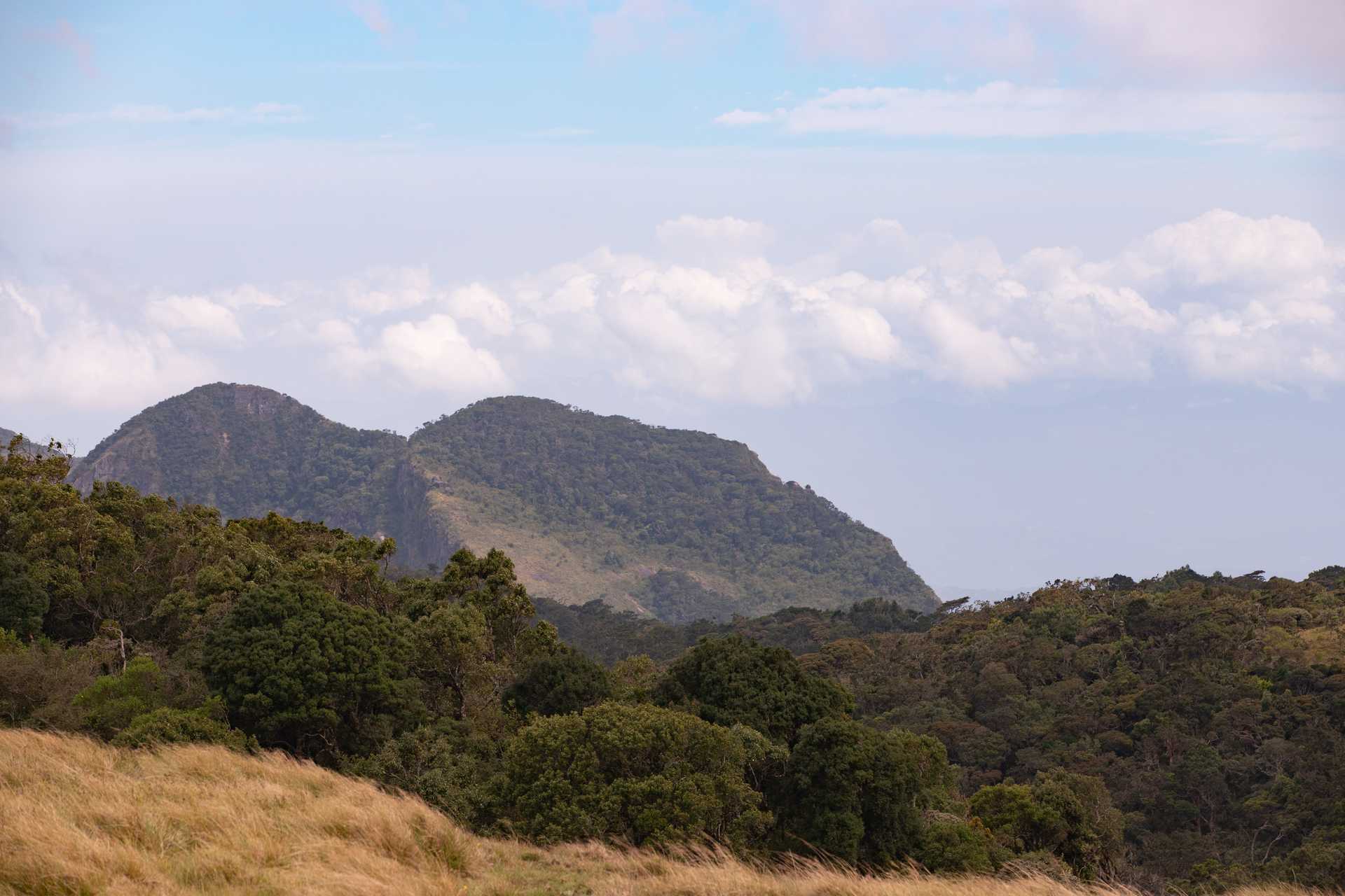 Horton Plains ⇌ Udaweriya